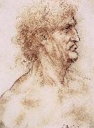 Leonardo Da Vinci Profile one with book leaves gekroten of old man oil painting